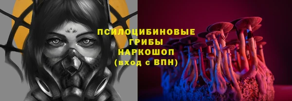 эйфоретик Аркадак