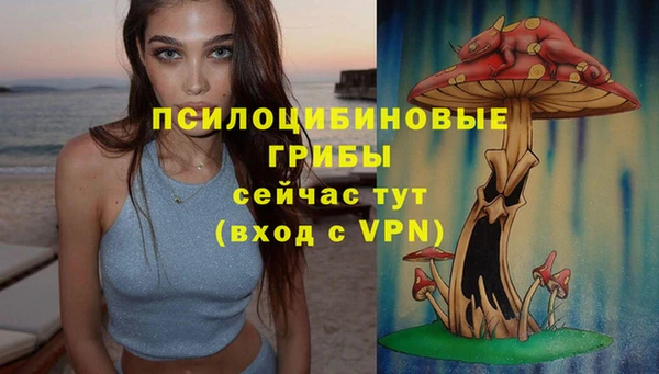 эйфоретик Аркадак