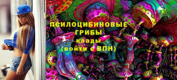 бошки Арсеньев