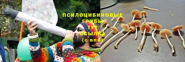 эйфоретик Аркадак
