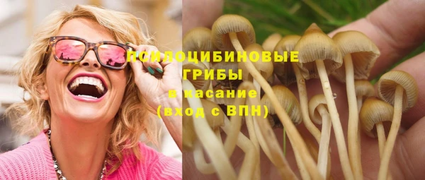 бошки Арсеньев