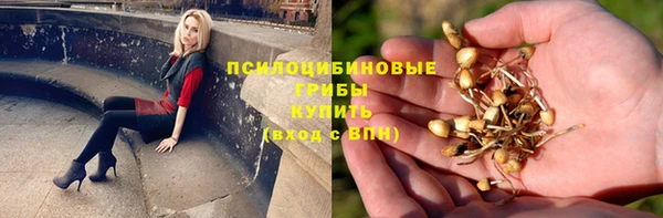 эйфоретик Аркадак